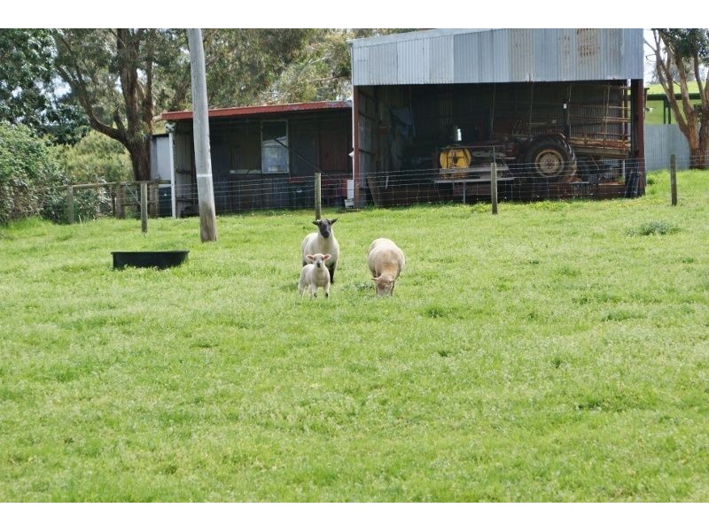 149 Hunts Road, Willow Grove VIC 3825