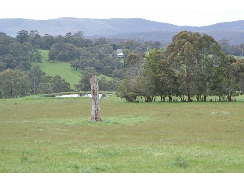 149 Hunts Road, Willow Grove VIC 3825