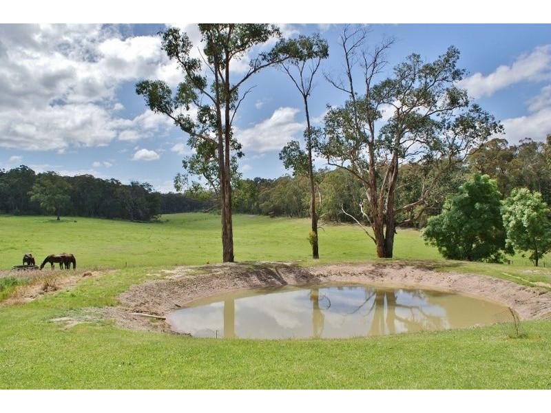 727 Moe-Walhalla Road, Tanjil South VIC 3825