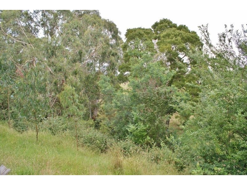 20 Marshall Street, Yallourn North VIC 3825