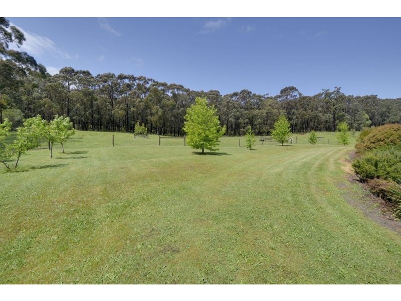 81 Pineridge  Road, Moe South VIC 3825