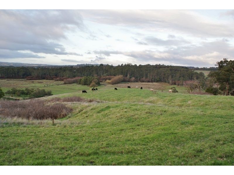 13 Wirrana Drive, Moe VIC 3825