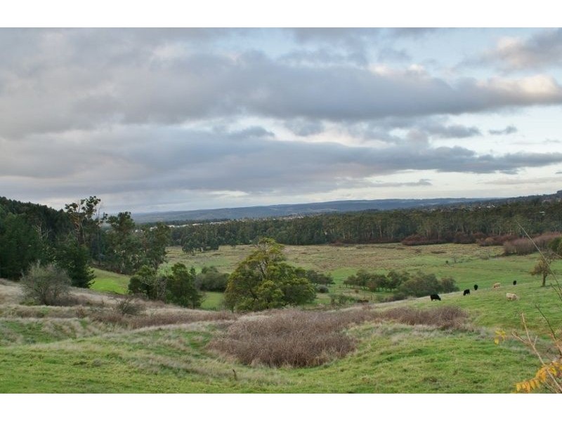 13 Wirrana Drive, Moe VIC 3825