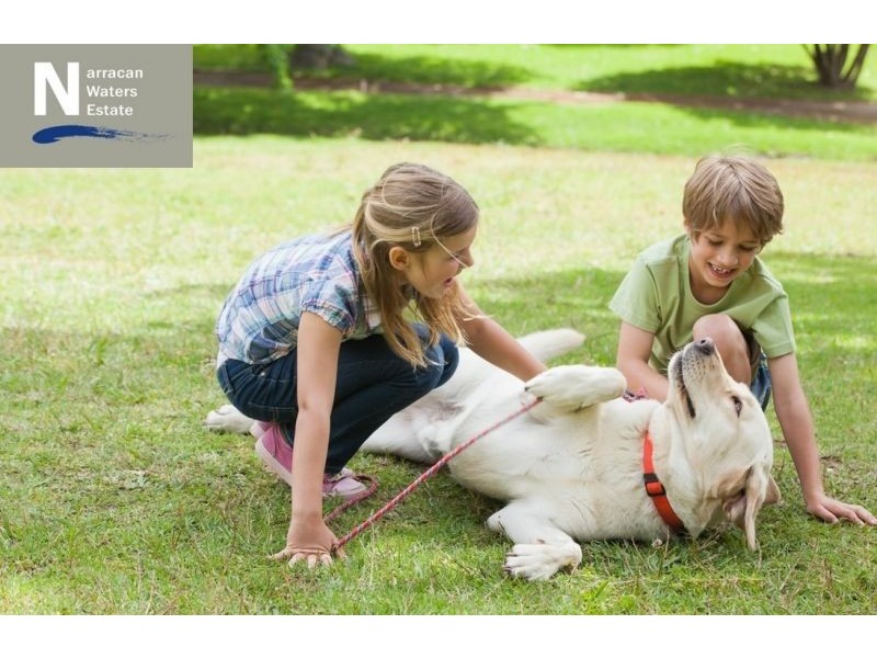 Lot 19 Applebox Place (Narracan Waters Estate), Newborough VIC 3825