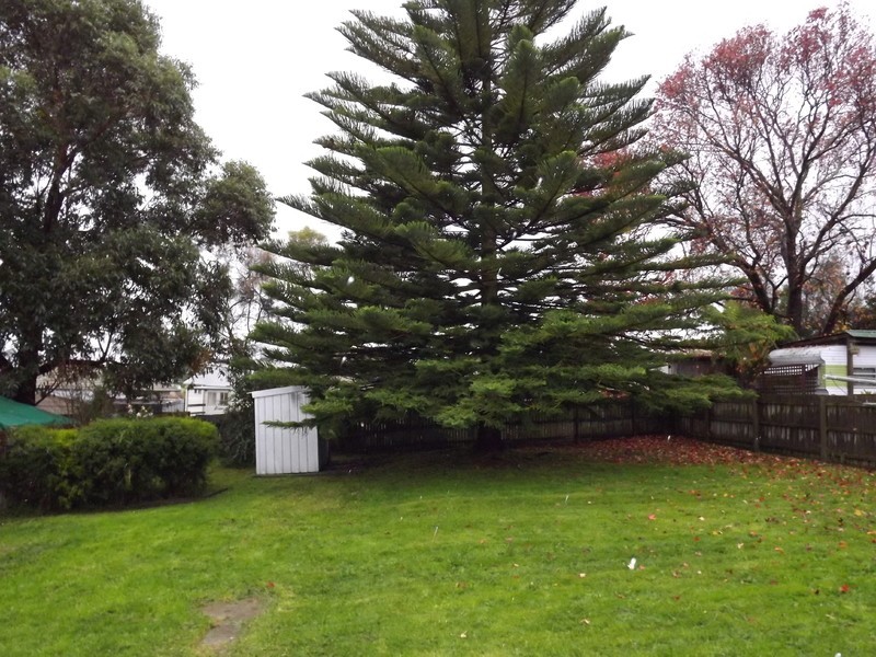 5  Scott Avenue, Moe VIC 3825