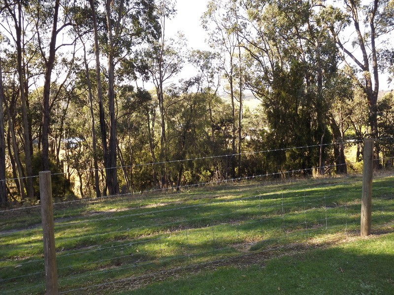 21 Delbridge Drive, Moe South VIC 3825