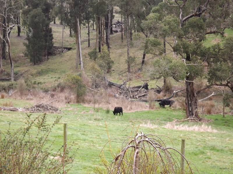 106 Thalloo Road, Tanjil South VIC 3825