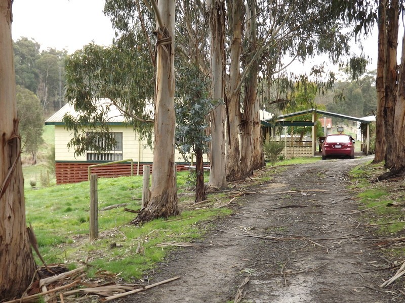 106 Thalloo Road, Tanjil South VIC 3825