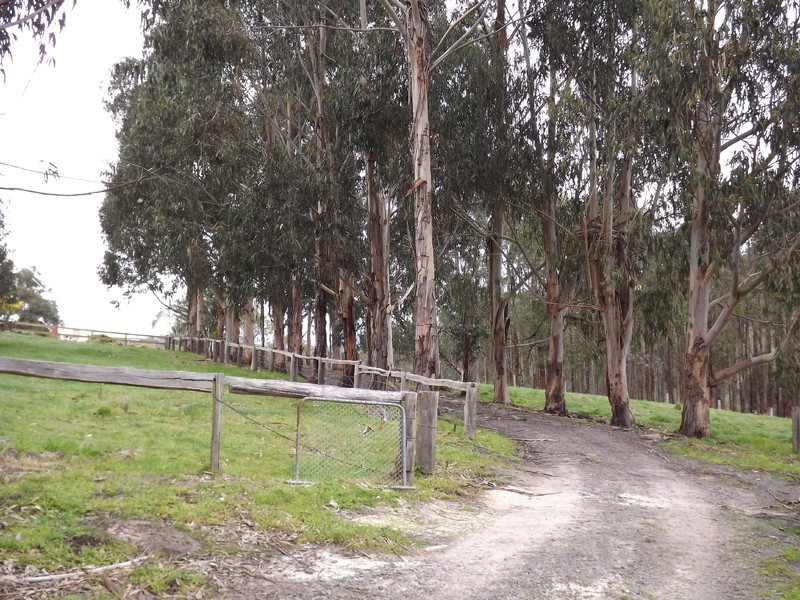 106 Thalloo Road, Tanjil South VIC 3825