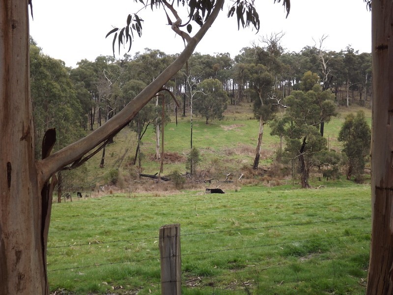 106 Thalloo Road, Tanjil South VIC 3825