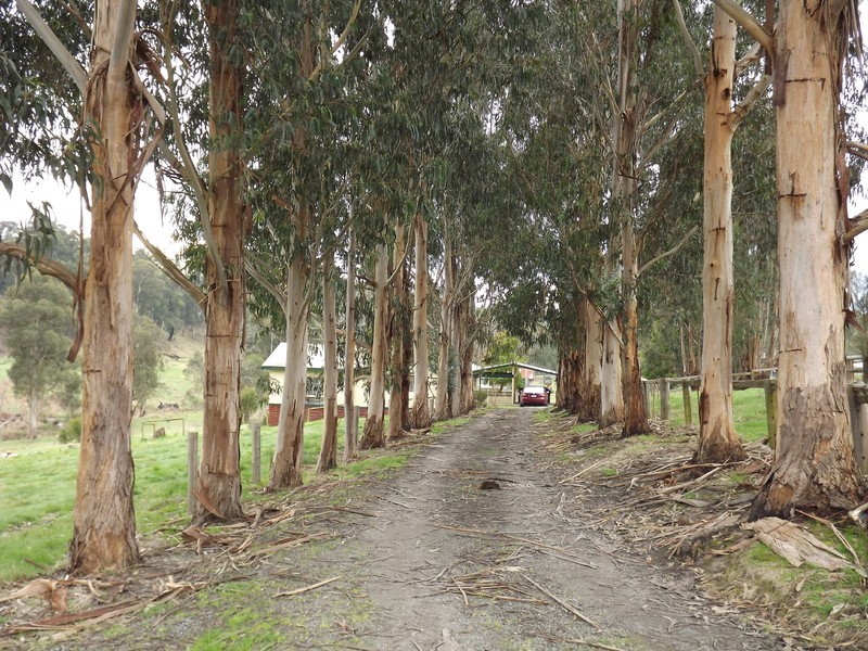 106 Thalloo Road, Tanjil South VIC 3825