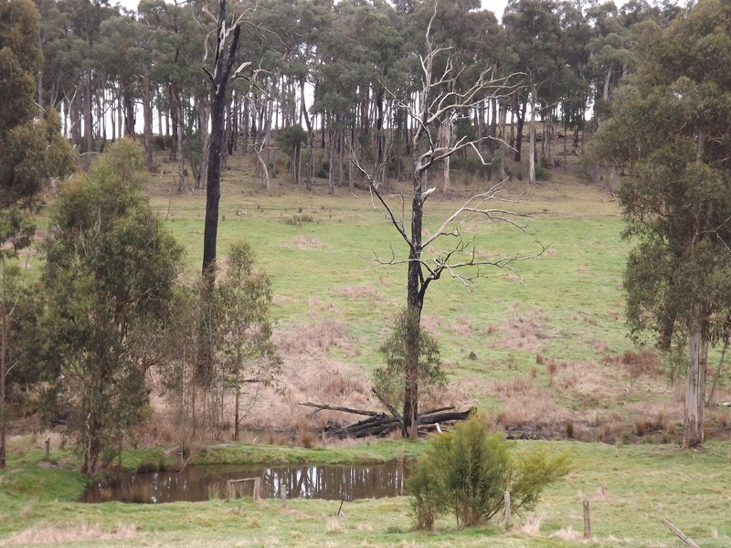 106 Thalloo Road, Tanjil South VIC 3825