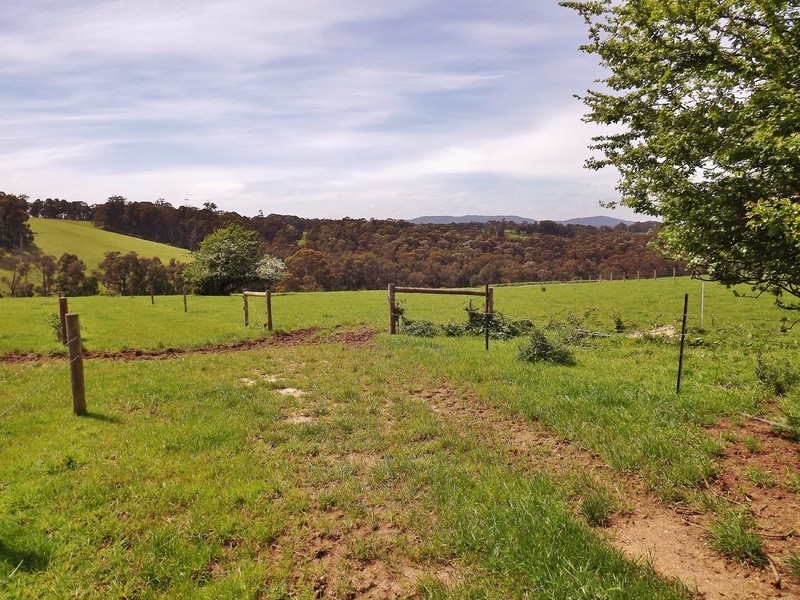 Lot 2 Paynters Road, Hill End VIC 3825