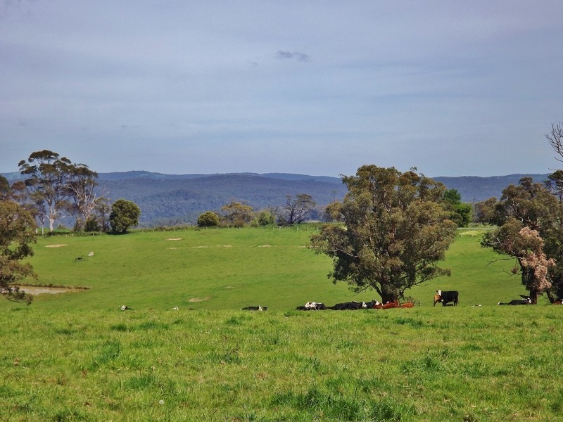 Lot 2 Paynters Road, Hill End VIC 3825
