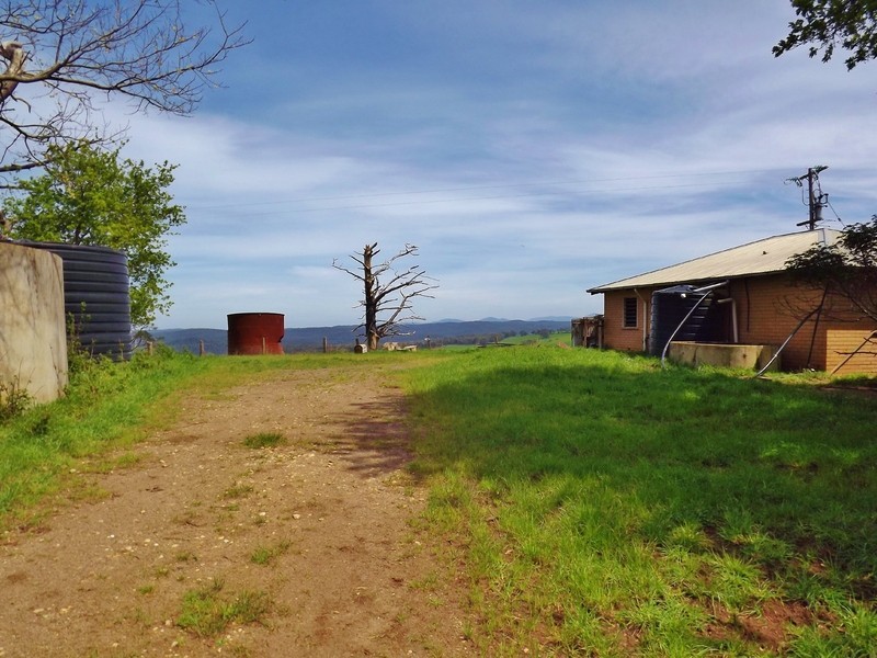 100  Paynters Road, Hill End VIC 3825
