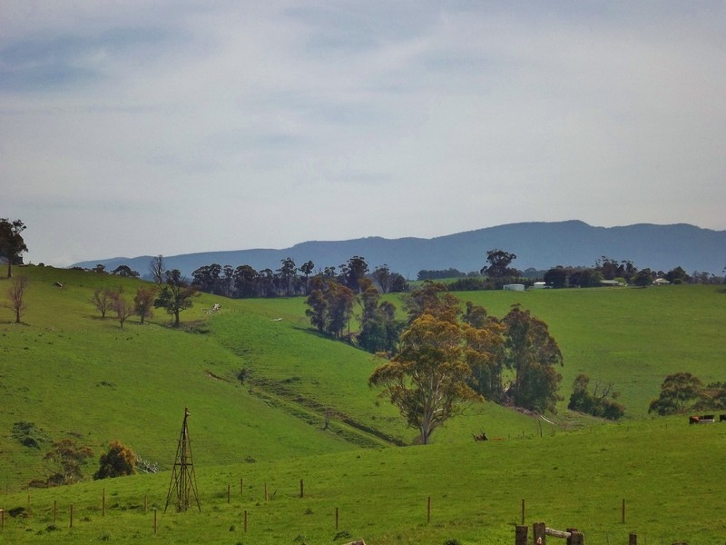 100  Paynters Road, Hill End VIC 3825