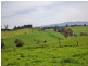 100  Paynters Road, Hill End VIC 3825