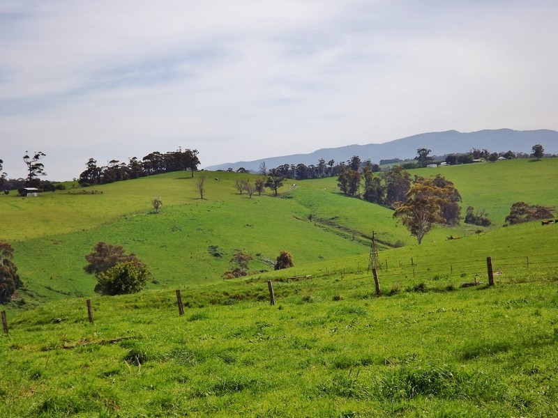 100  Paynters Road, Hill End VIC 3825