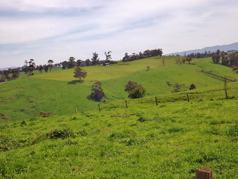 100  Paynters Road, Hill End VIC 3825