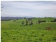 100  Paynters Road, Hill End VIC 3825