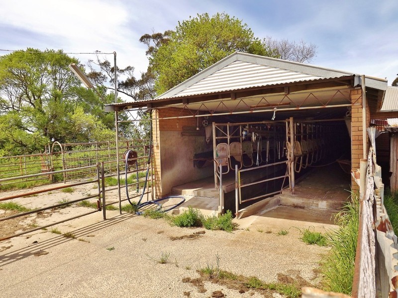 100  Paynters Road, Hill End VIC 3825