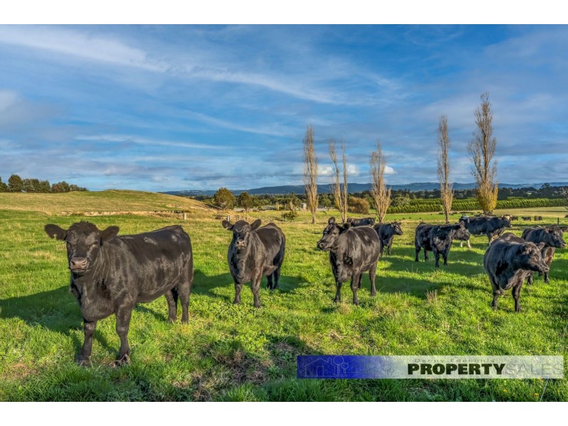 35 Alder Road, Tanjil South VIC 3825