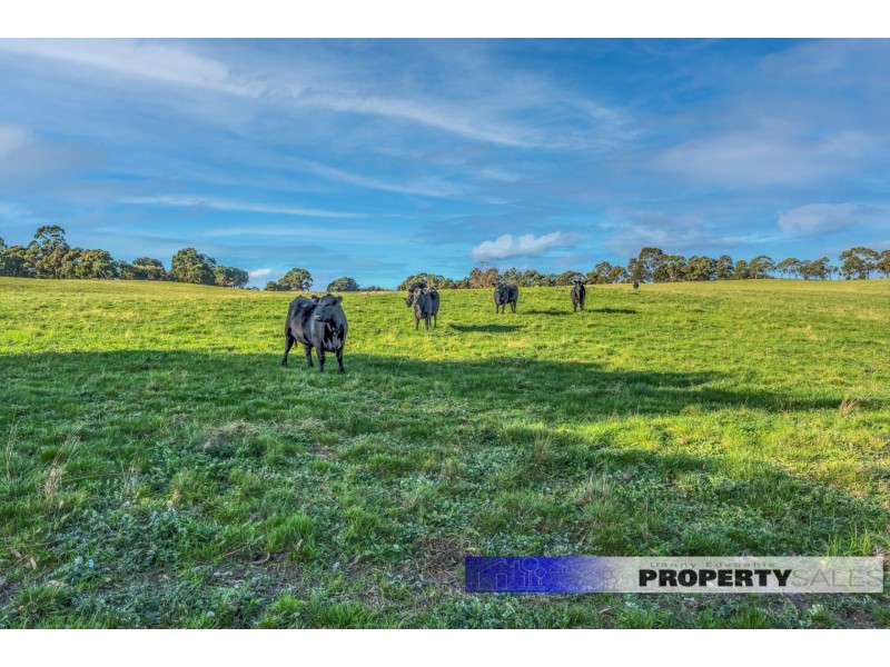 35 Alder Road, Tanjil South VIC 3825