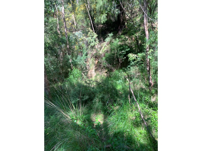 15 Happy Go Lucky Road, Walhalla VIC 3825