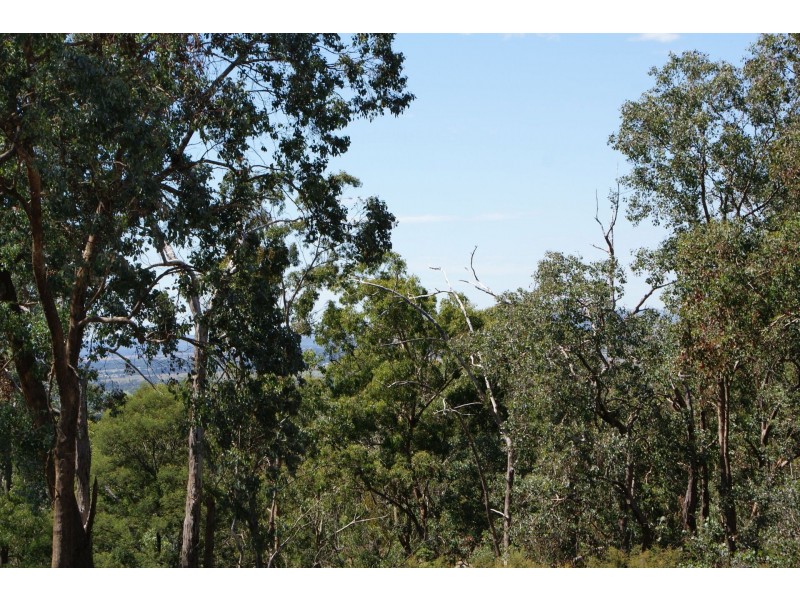 55 Bradys Road, Tyers VIC 3844