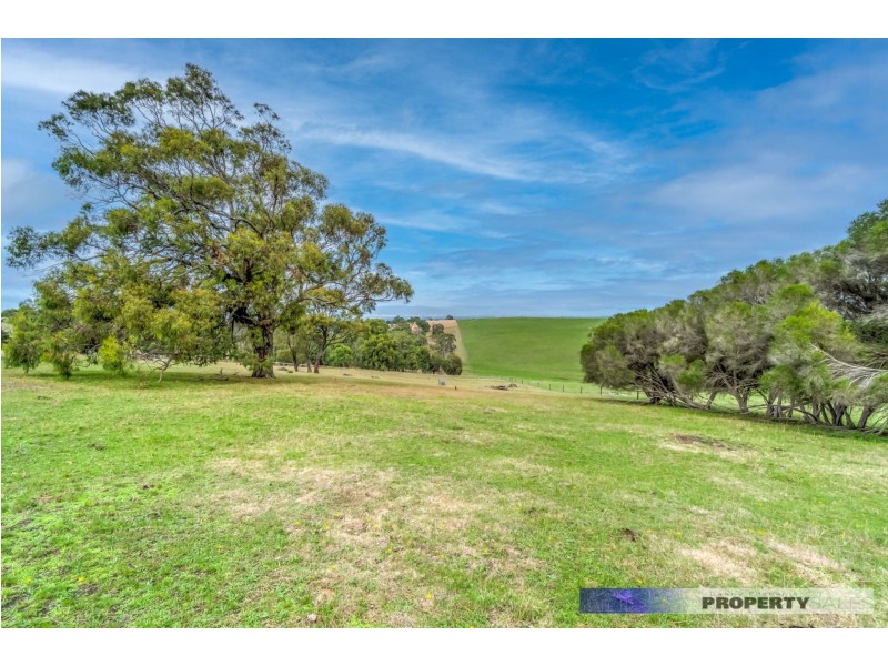 463 Moe-Willow Grove Road, Tanjil South VIC 3825