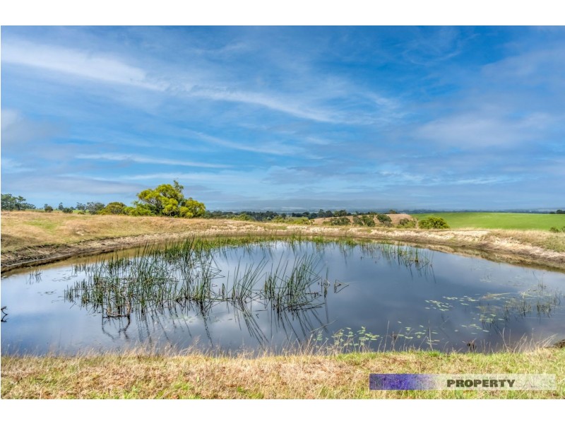 463 Moe-Willow Grove Road, Tanjil South VIC 3825