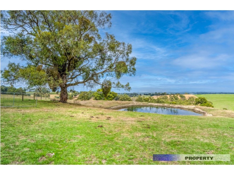 463 Moe-Willow Grove Road, Tanjil South VIC 3825