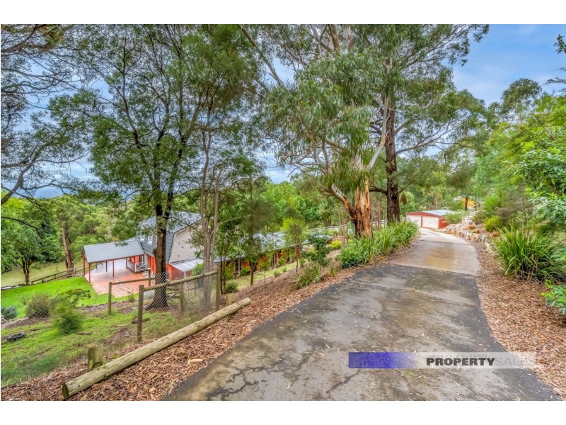 40 Lynne Avenue, Moe South VIC 3825