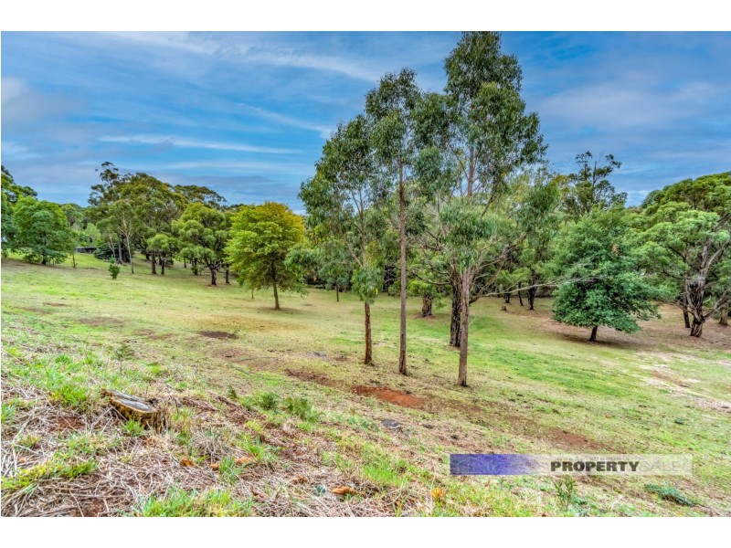 40 Lynne Avenue, Moe South VIC 3825