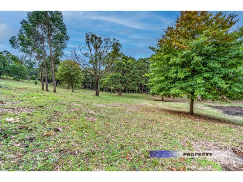 40 Lynne Avenue, Moe South VIC 3825