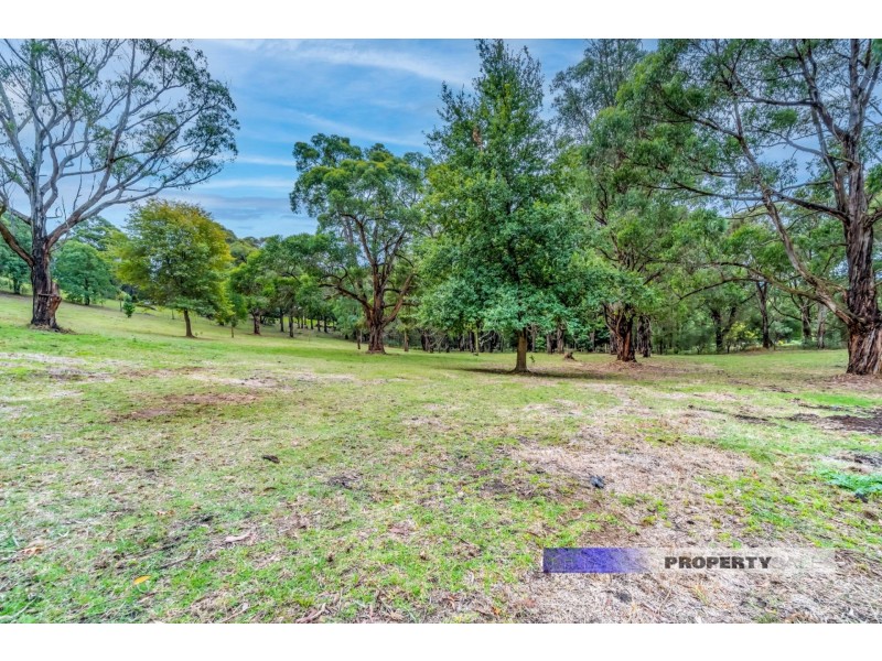 40 Lynne Avenue, Moe South VIC 3825