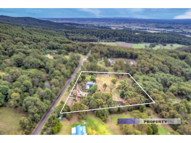 40 Lynne Avenue, Moe South VIC 3825