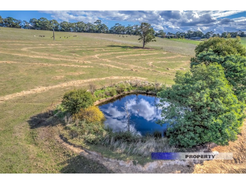 420 Moe-Willow Grove Road, Tanjil South VIC 3825