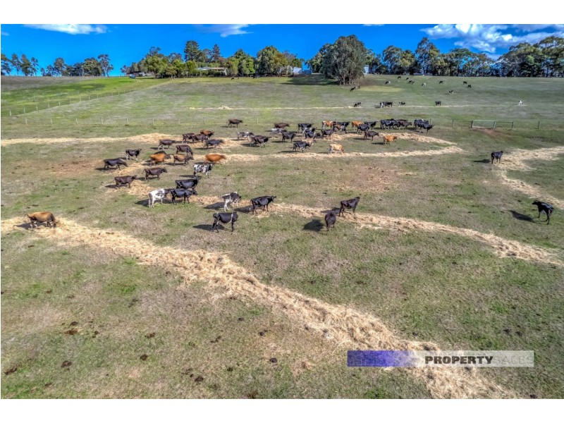 420 Moe-Willow Grove Road, Tanjil South VIC 3825