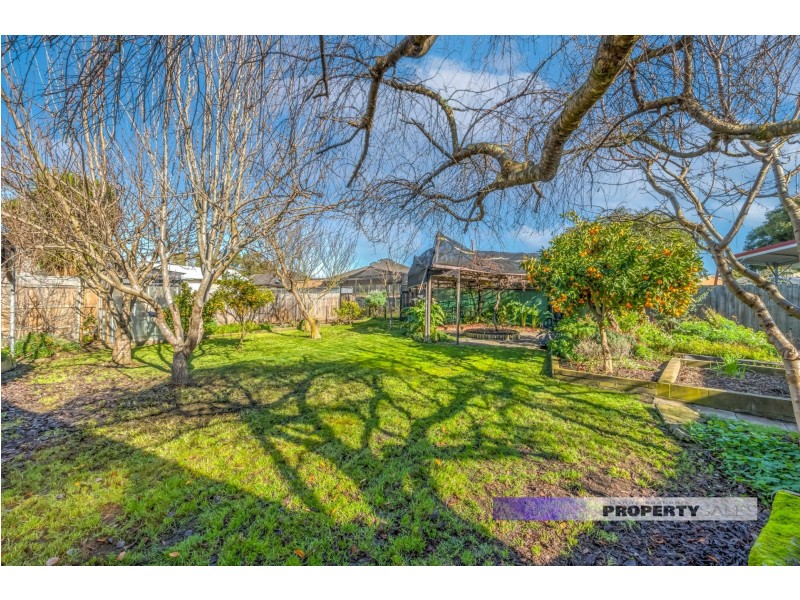42 Marshall Avenue, Moe VIC 3825