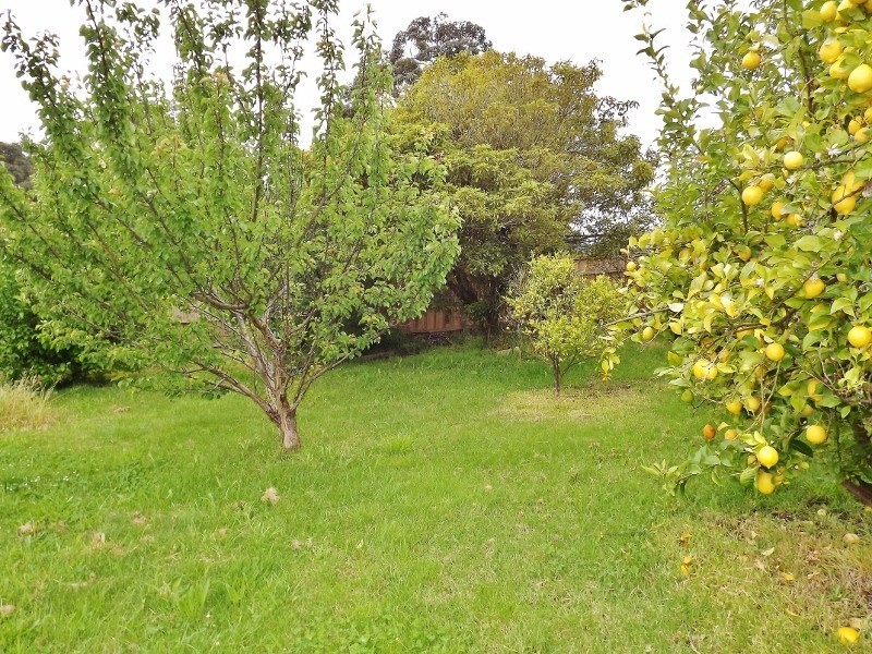 22  Moir Road, Trafalgar East VIC 3824