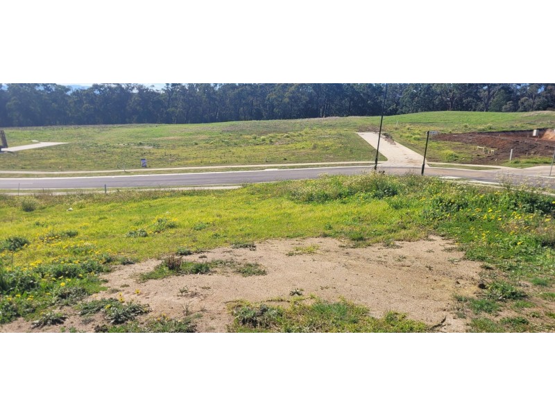 19 Coolabah Place, Moe VIC 3825