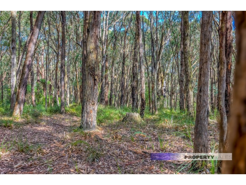 14 Frys Track, Newborough VIC 3825