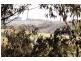 21 Delbridge Drive, Moe South VIC 3825