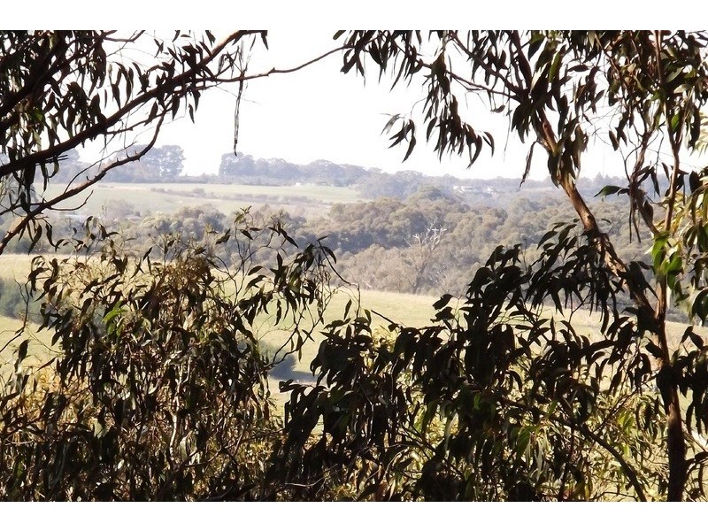 21 Delbridge Drive, Moe South VIC 3825