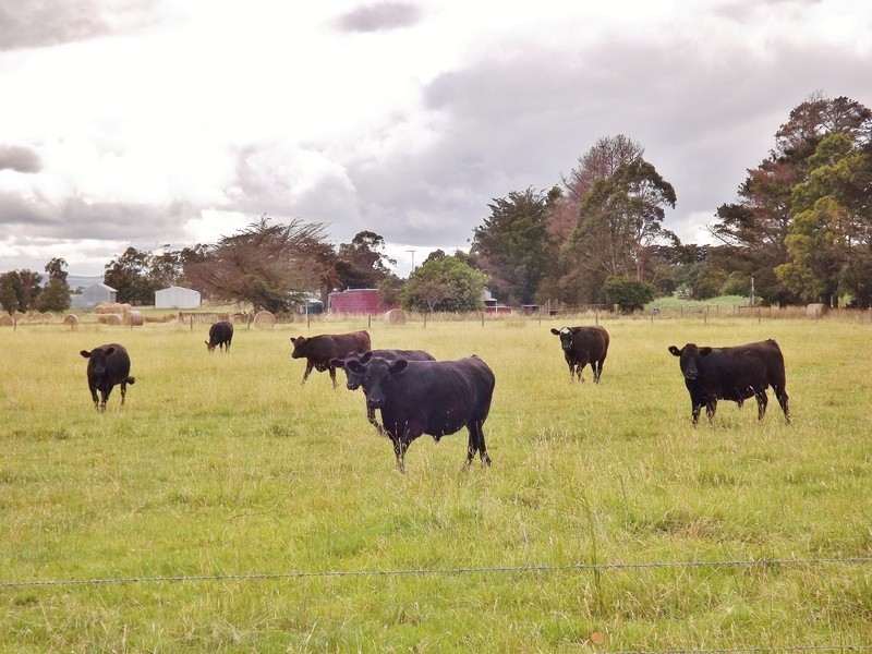 368 Waterloo Road, Trafalgar East VIC 3824