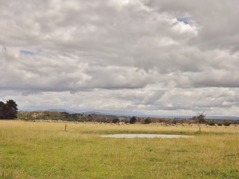 368 Waterloo Road, Moe VIC 3825