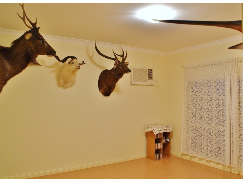 115 McGraths Track, Hernes Oak VIC 3825