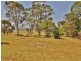 260  Becks Bridge Road, Tanjil South VIC 3825