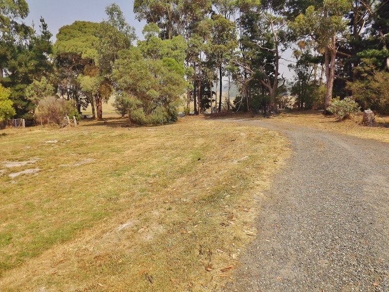 260  Becks Bridge Road, Tanjil South VIC 3825